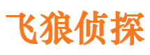 金川婚外情调查取证